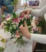 IMG_20250608_124213800